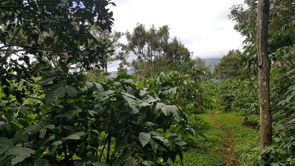 20170820_103703